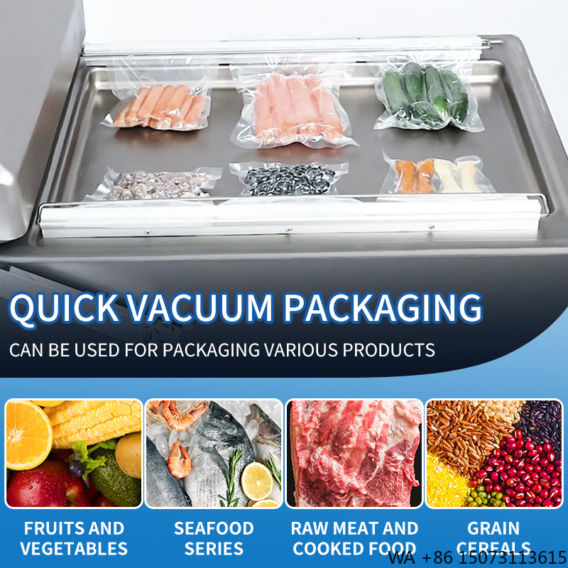 DZ-4002SA  Double Chamber Vacu - Meal Prep With Chicken recension och pris